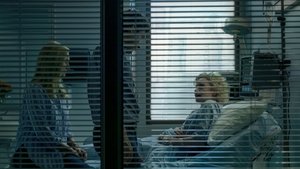 Ozark W nagłym przypadku