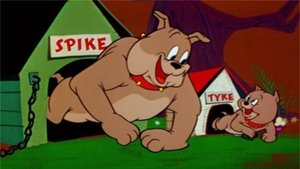 Tom i Jerry Show Odcinek 1
