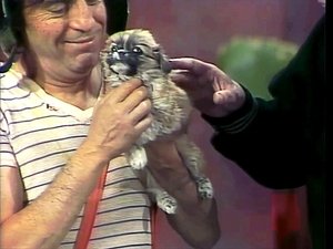 El Chavo del Ocho Odcinek 44