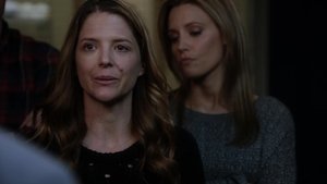 Private Practice Odcinek 15