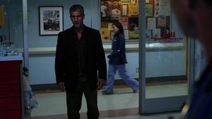 Private Practice Odcinek 12