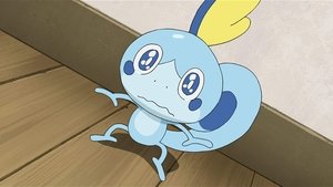 Pokémon Szlochający Sobble!