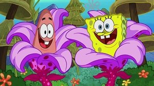 SpongeBob Kanciastoporty Odcinek 35