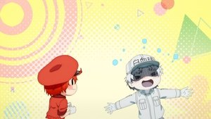 Hataraku Saibou Odcinek 1