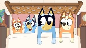 Blue Kibel