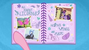 My Little Pony: Przyjaźń to magia Odcinek 24