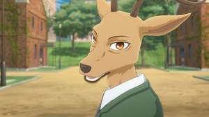 BEASTARS W stanie ciągłej gotowości