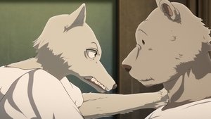 BEASTARS Kwestia sprawności