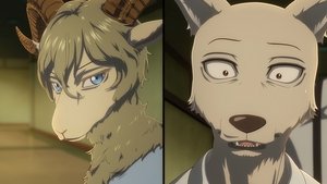 BEASTARS Niezapomniana słodycz