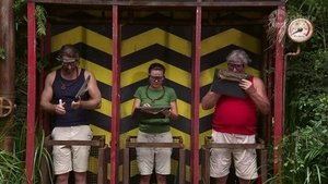 I'm a Celebrity: Get Me Out of Here! Odcinek 3