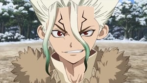 Dr. Stone Parowy Goryl