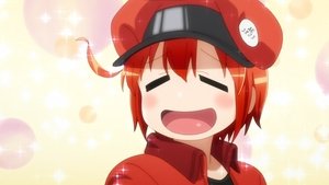Hataraku Saibou Odcinek 6