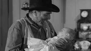 Wagon Train Odcinek 35