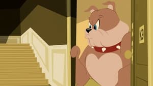 Tom i Jerry Show Odcinek 40