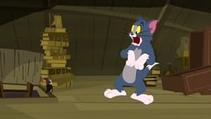 Tom i Jerry Show Odcinek 14