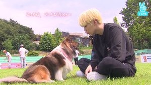 Run BTS! Odcinek 13