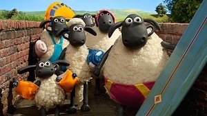 Baranek Shaun Odcinek 17