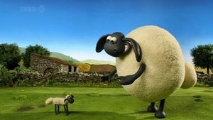 Baranek Shaun Odcinek 9