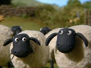 Baranek Shaun Czary