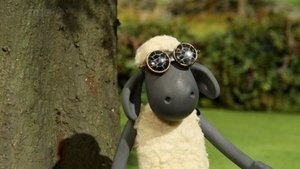 Baranek Shaun Odcinek 12