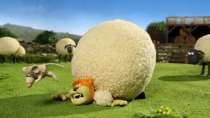 Baranek Shaun Odcinek 14