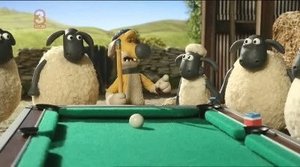 Baranek Shaun Odcinek 36
