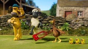 Baranek Shaun Odcinek 8