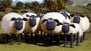 Baranek Shaun Pszczoły