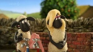 Baranek Shaun Odcinek 19
