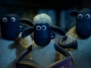Baranek Shaun Ból zęba
