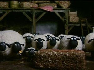 Baranek Shaun Wykrywacz metalu