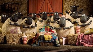 Baranek Shaun Odcinek 19