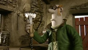 Baranek Shaun Postrzyżyny