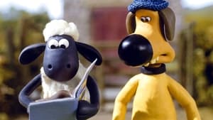 Baranek Shaun Zakochany owczarek