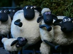 Baranek Shaun Lunatyk