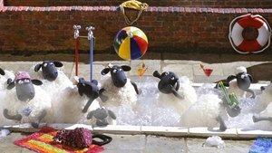 Baranek Shaun Pranie