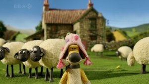 Baranek Shaun Odcinek 13