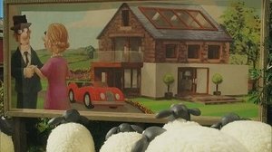 Baranek Shaun Odcinek 11