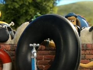 Baranek Shaun Upał