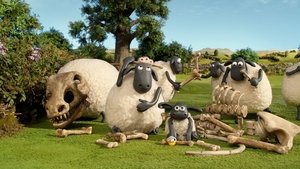 Baranek Shaun Odcinek 13