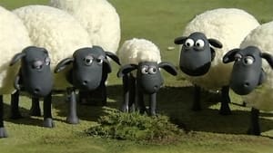 Baranek Shaun Na wynos