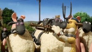 Baranek Shaun Odcinek 29