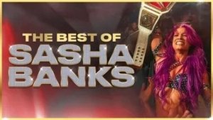 The Best of WWE Odcinek 55