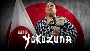 The Best of WWE Odcinek 49