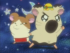 Hamtaro Odcinek 90