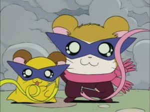 Hamtaro Odcinek 78