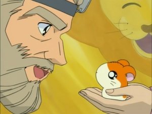 Hamtaro Odcinek 94