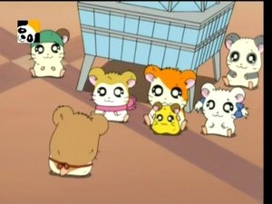 Hamtaro Odcinek 64