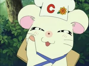 Hamtaro Odcinek 95