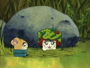 Hamtaro Odcinek 81